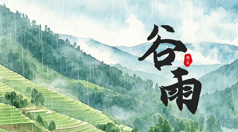 【谷雨】谷雨润物，百谷生长